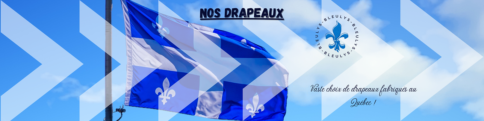 Nos drapeaux (72 x 18 po).png