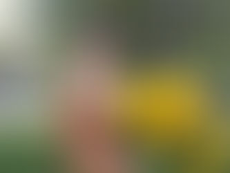 Членкиню Правління КНС Людмилу Нечипоренко ВІТАЄМО З ДНЕМ НАРОДЖЕННЯ !