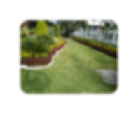 image (4).png