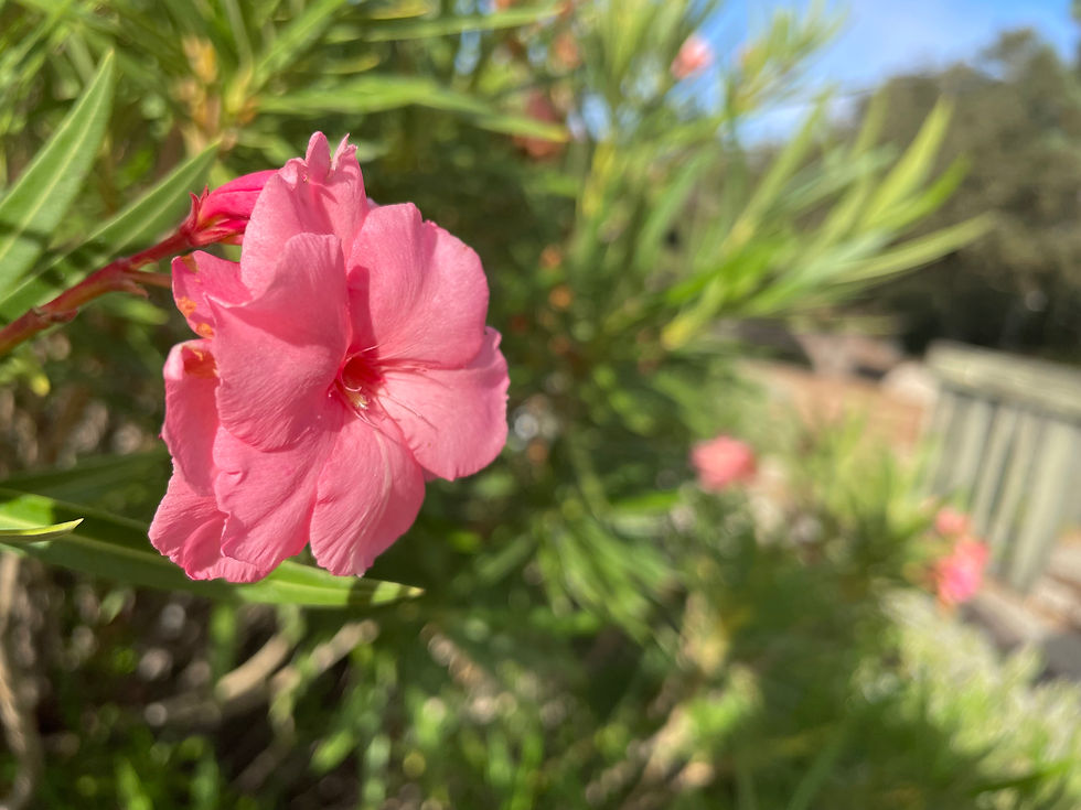 Selective focus