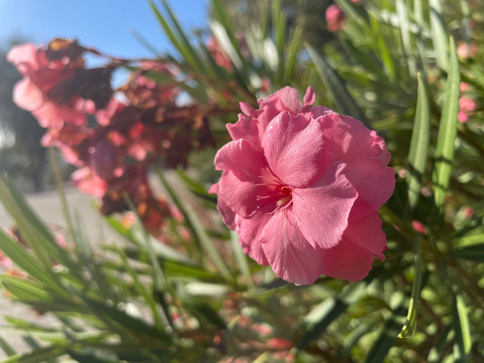 Rule of thirds