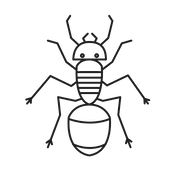 Green Tech Pest Control Southern Nevada Pest Control Provider