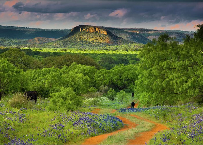 Texas hill country ranch road