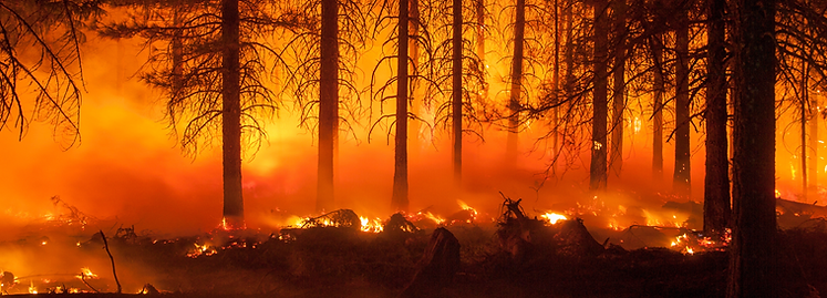 Untitled (2000 × 720 px) (16).png