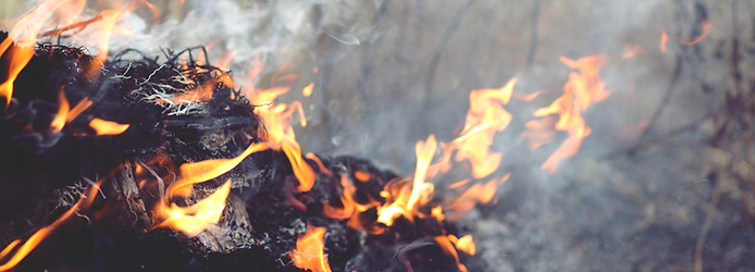 Website Page Banners (2000 × 720 px) (17).png