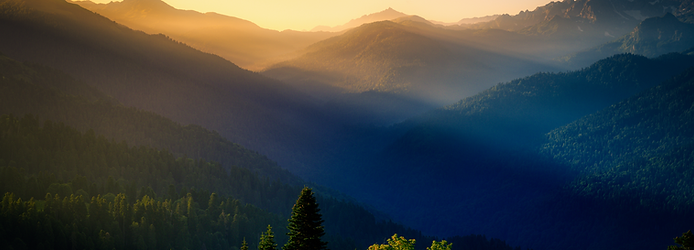 Website Page Banners (2000 × 720 px) (23).png