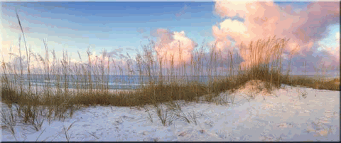 Seaside Symphony.gif