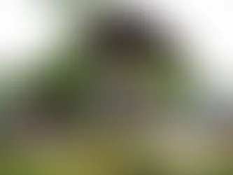 Pacific CSO Statement to the Port Vila II PSIDS Ministerial Dialogue - Fossil Fuel Transition and the Pacific Just Transition Agenda