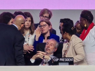 COP30 Outcomes Analysis