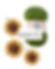 Velvet Sunflower Blanket Kit