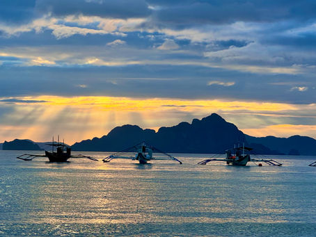 Birding Palawan: Paradise Lost or Found?