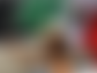 Why I document protest?