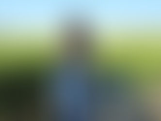 A Casual day, at the winery