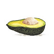 avocado_V01_baixa.jpg