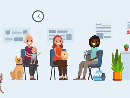 Introducing Pawlicy Advisors: Your Trusted Pet Insurance Resource
