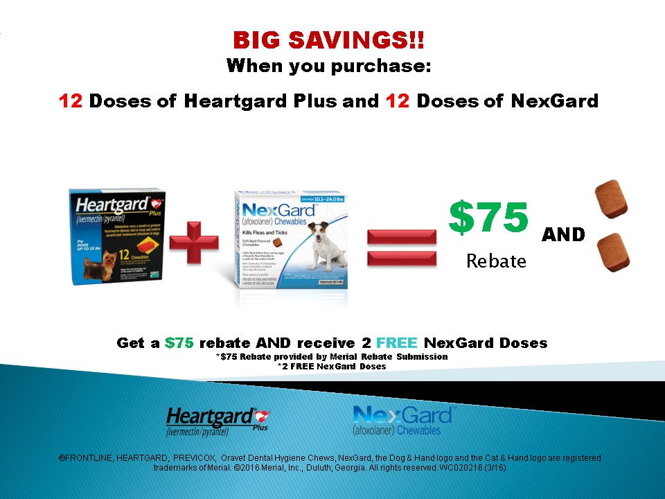 Get 75 back and 2 free doses of Nexgard