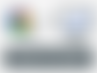 search-console-insight-entegre