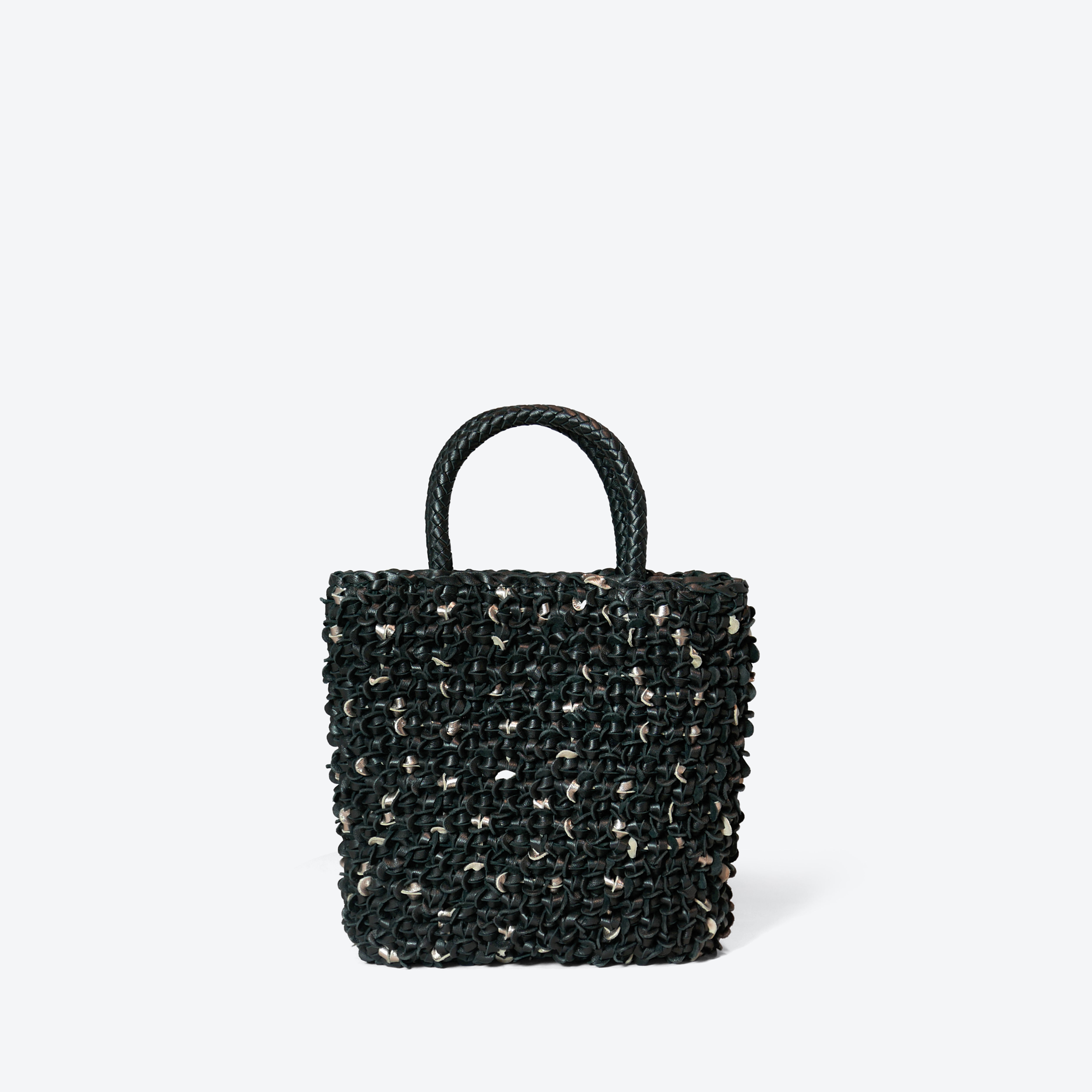 Tory Iris/Canope Starlight