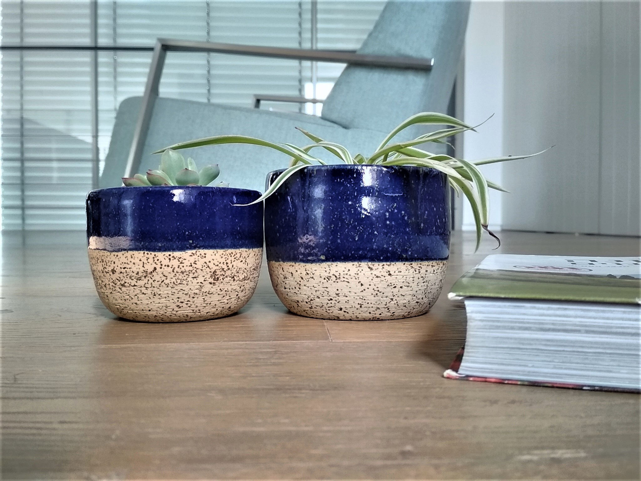 עציץ בגוון כחול