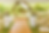 ChatGPT Image Aug 9, 2025, 01_15_23 PM.png
