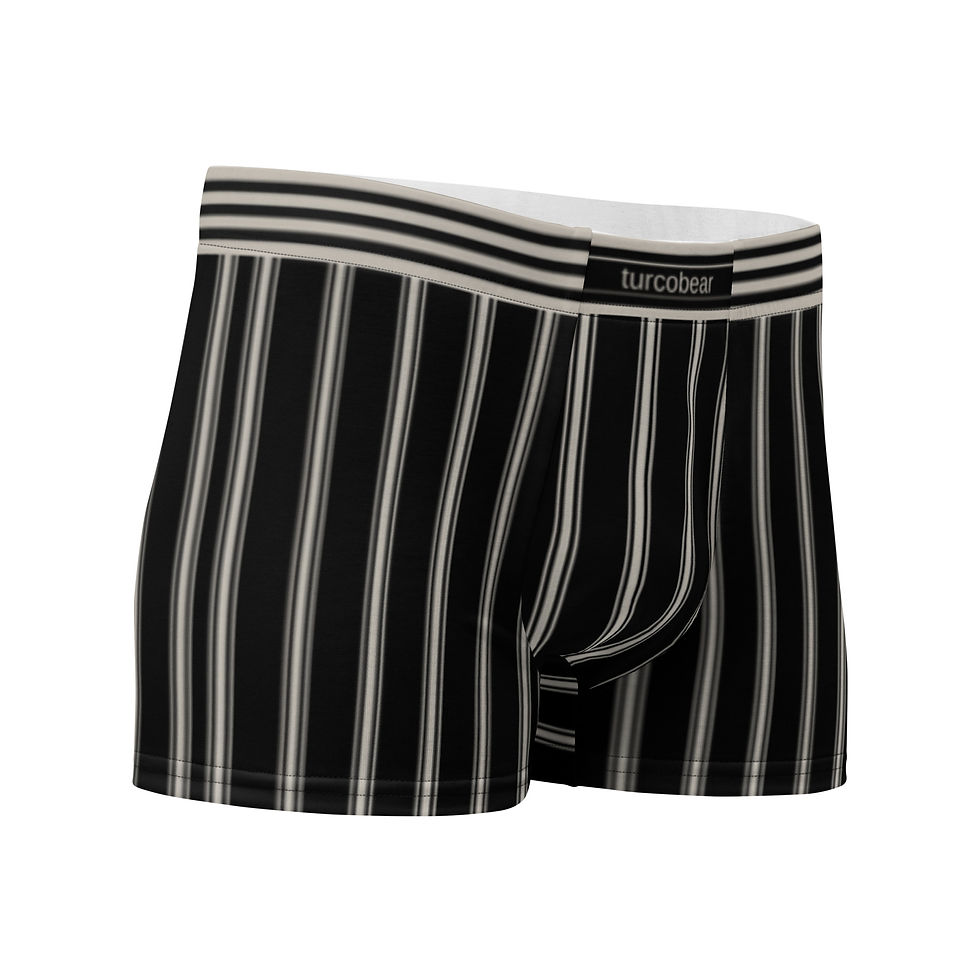 Thumbnail: TurcoBear Black Stripe Boxer Briefs | Premium Men's Stretch Underwear 