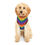 Thumbnail: Rainbow Chevron Pet Hoodie – Colorful Striped Sweater for Dogs & Cats
