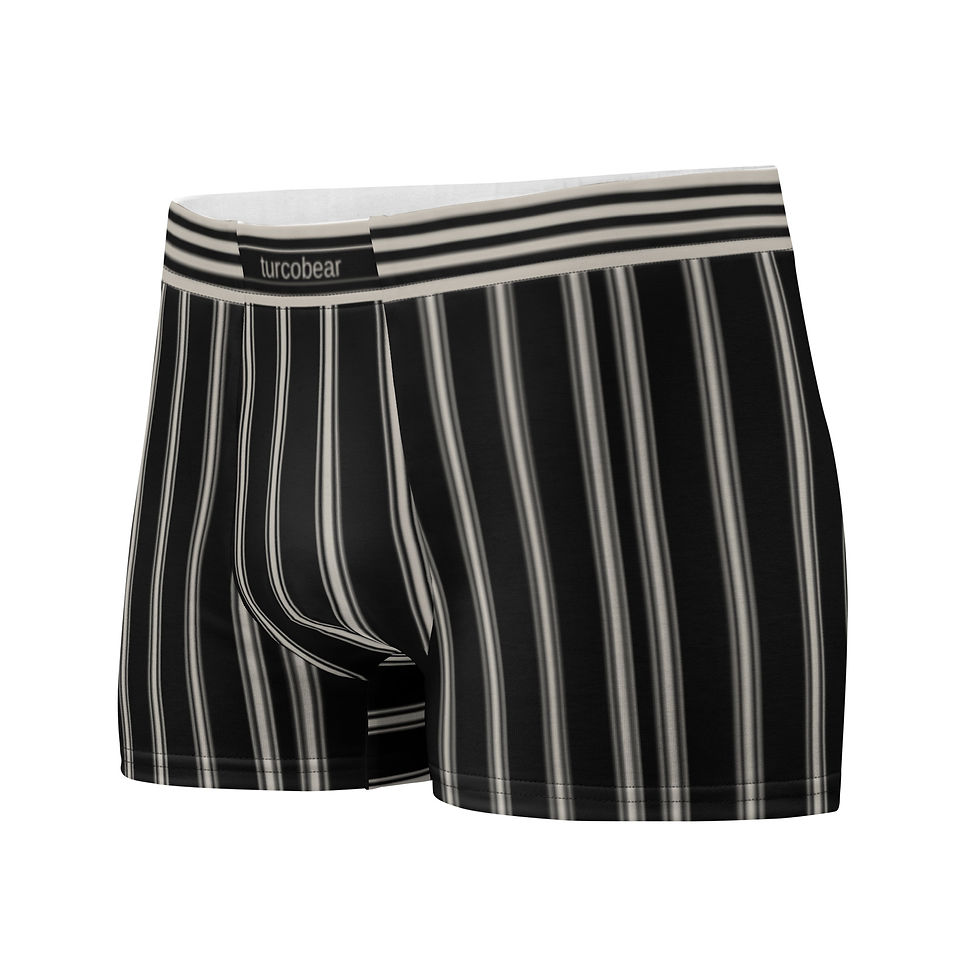 Thumbnail: TurcoBear Black Stripe Boxer Briefs | Premium Men's Stretch Underwear 