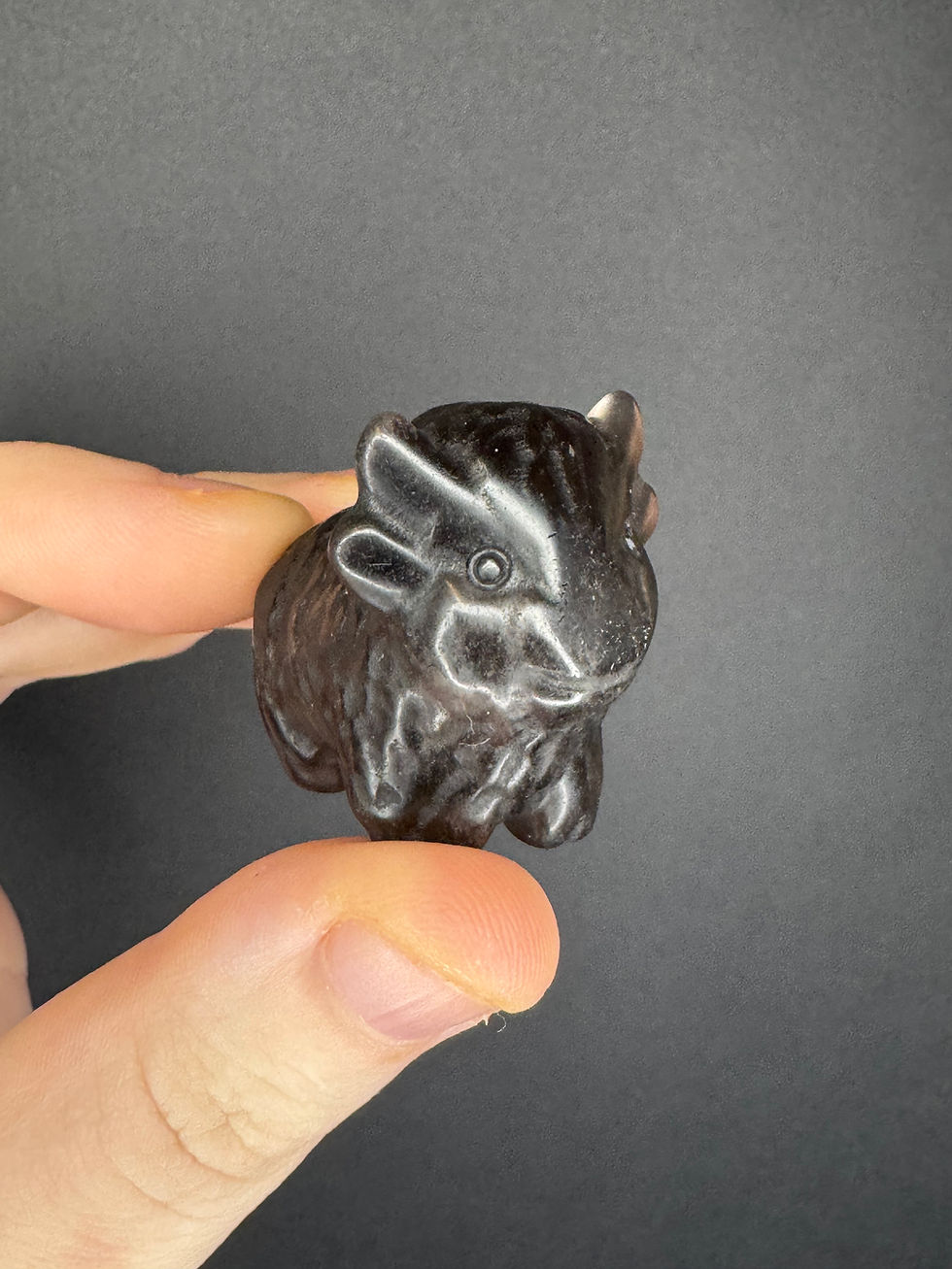 Thumbnail: Highland cow