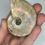 Thumbnail: Natural iridescent ammonite fossils comes with stand 63g ias23