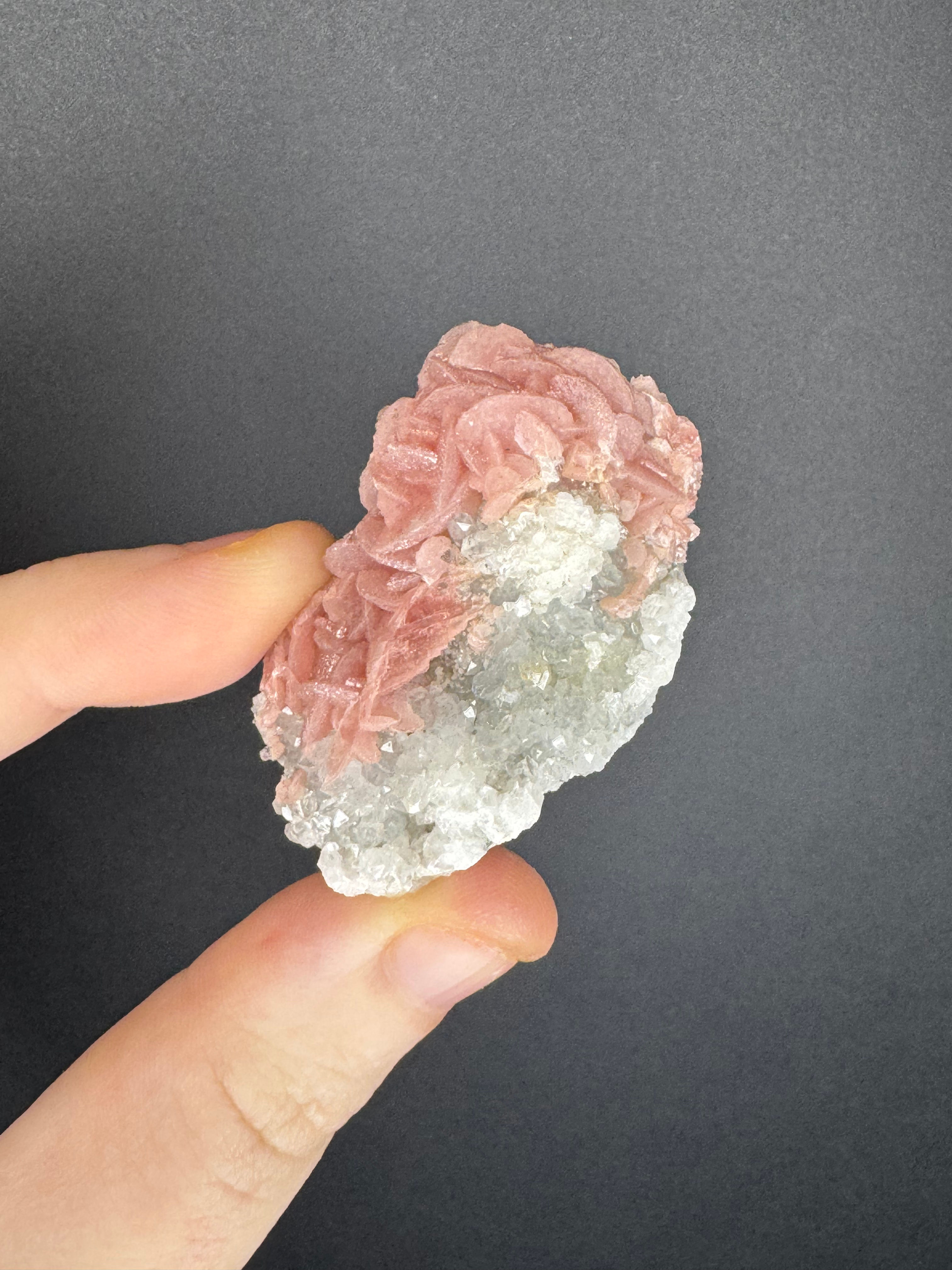 Petal Rhodochorisite x pyrite on clear quartz 27g prs14