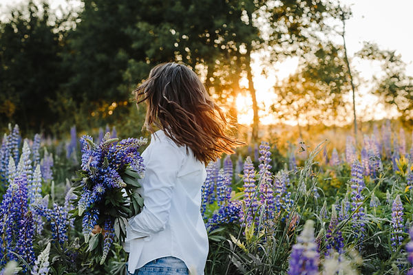 brunette-femme-tourbillonne-tenant-le-bouquet-de-lupins-sur-une-pelouse-au-coucher-du-sole