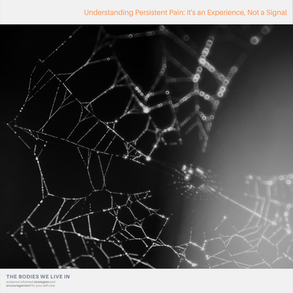 Understanding Persistent Pain: It's an Experience, Not a Signal