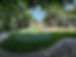 IMG_4284.jpeg