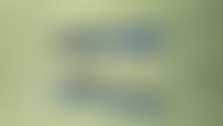 水槽のコケや汚れ落としに