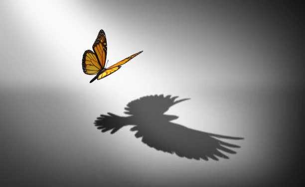 Limpieza energética, equilibrio emocional equilibrando los chacras, y fortalecer el aura