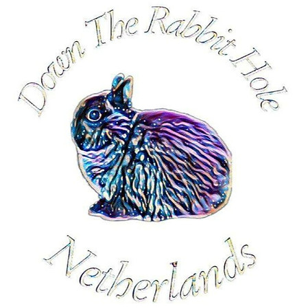DTRHN logo