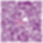 IMG_1154AEAA9C90-1.jpeg