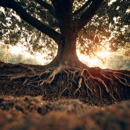 Strong tree with deep roots symbolizing the deeper causes of porn addiction, including trauma, emotional pain, and long-term personal growth
