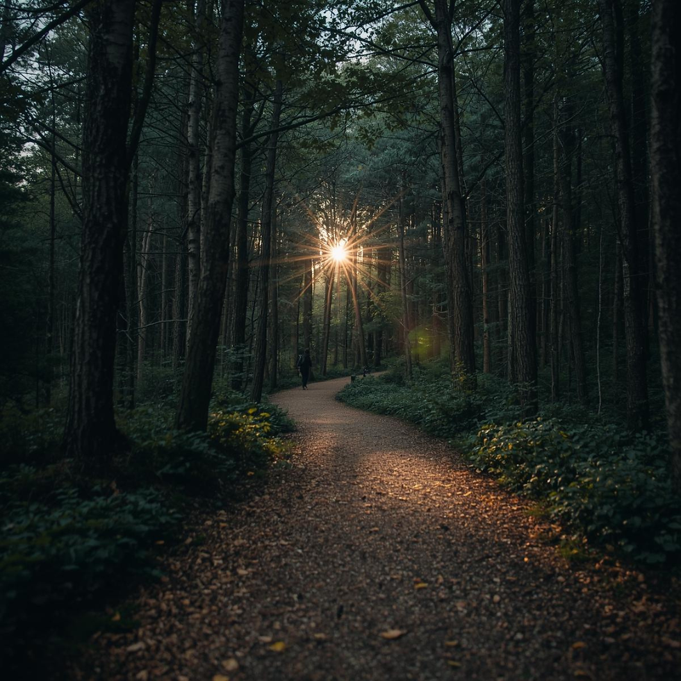 Peaceful forest trail in morning light symbolizing emotional triggers as trailheads to sobriety and healing from porn addiction