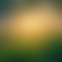 Still the Mind & Break Free From Porn Addiction