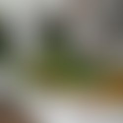 Heal Your Body, Heal Your Desire: How Foods Shape Your Recovery