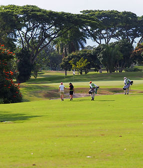 Campo de golf Pereira
