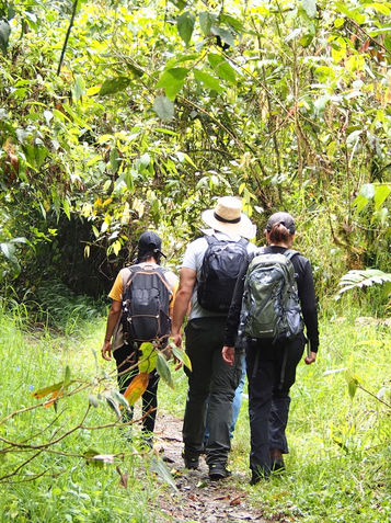 In the heart of the Protected Area, in its most remote areas of slopes and blades, small niches of Curly Cumin survive and propagate.