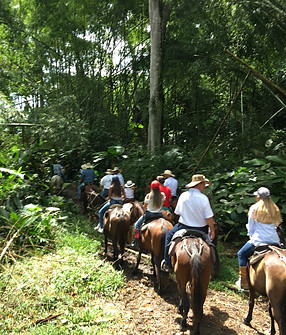 Cabalgata Eje Cafetero.JPG