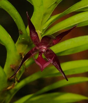 WhatsApp Image 2023-10-15 at 18.47.56 (2).jpeg