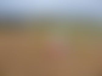 Télésurveillance VIGILE: Auscultation automatisée