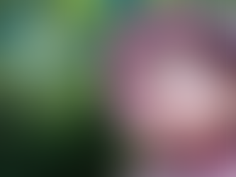 מואמן סאלם,