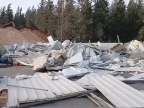 יום שני, 16 בפברואר, 2026 – החברה הפלסטינית בישראל