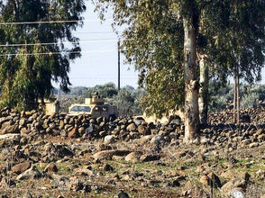 Monday, November 17, 2025 – Lebanon & Syria