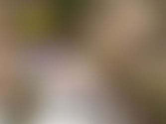 יום רביעי, 15 באוקטובר, 2025 – לבנון וסוריה